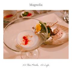 Magnolia-7-3