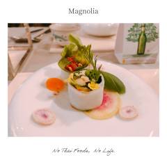 Magnolia-6