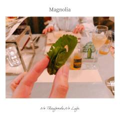 Magnolia1-2