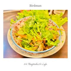 Birdman-15
