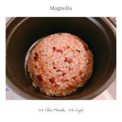 Magnolia-10-3