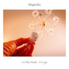 Magnolia-2-2