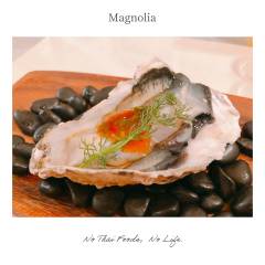 Magnolia-4-2