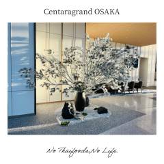 centaragrand-3